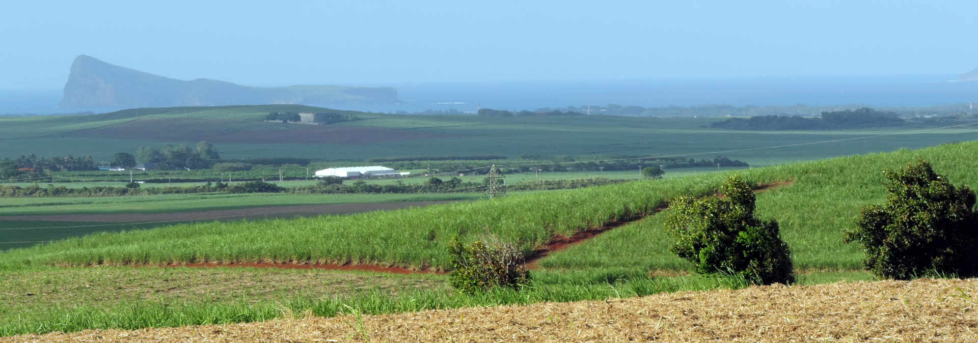 Vue de l'Ile Maurice