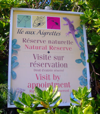 Ile aux Aigrettes nature reserve in Mauritius